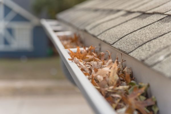 Leaf Barrier Installation in Indianapolis